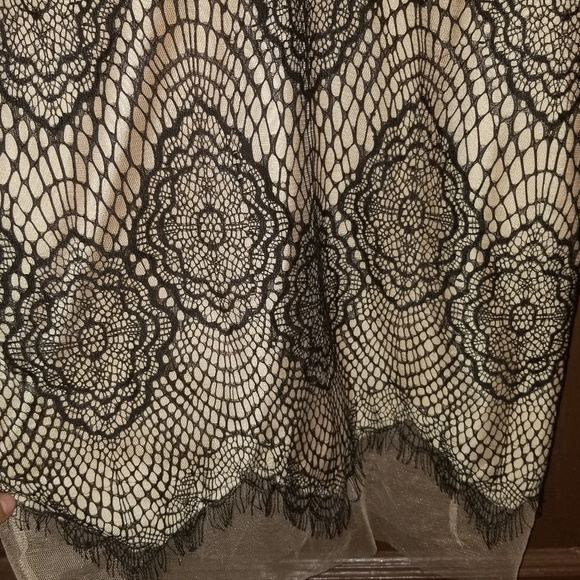 A'GACI black lace cream mesh long sleeve dress new with tags large - Picture 4 of 6